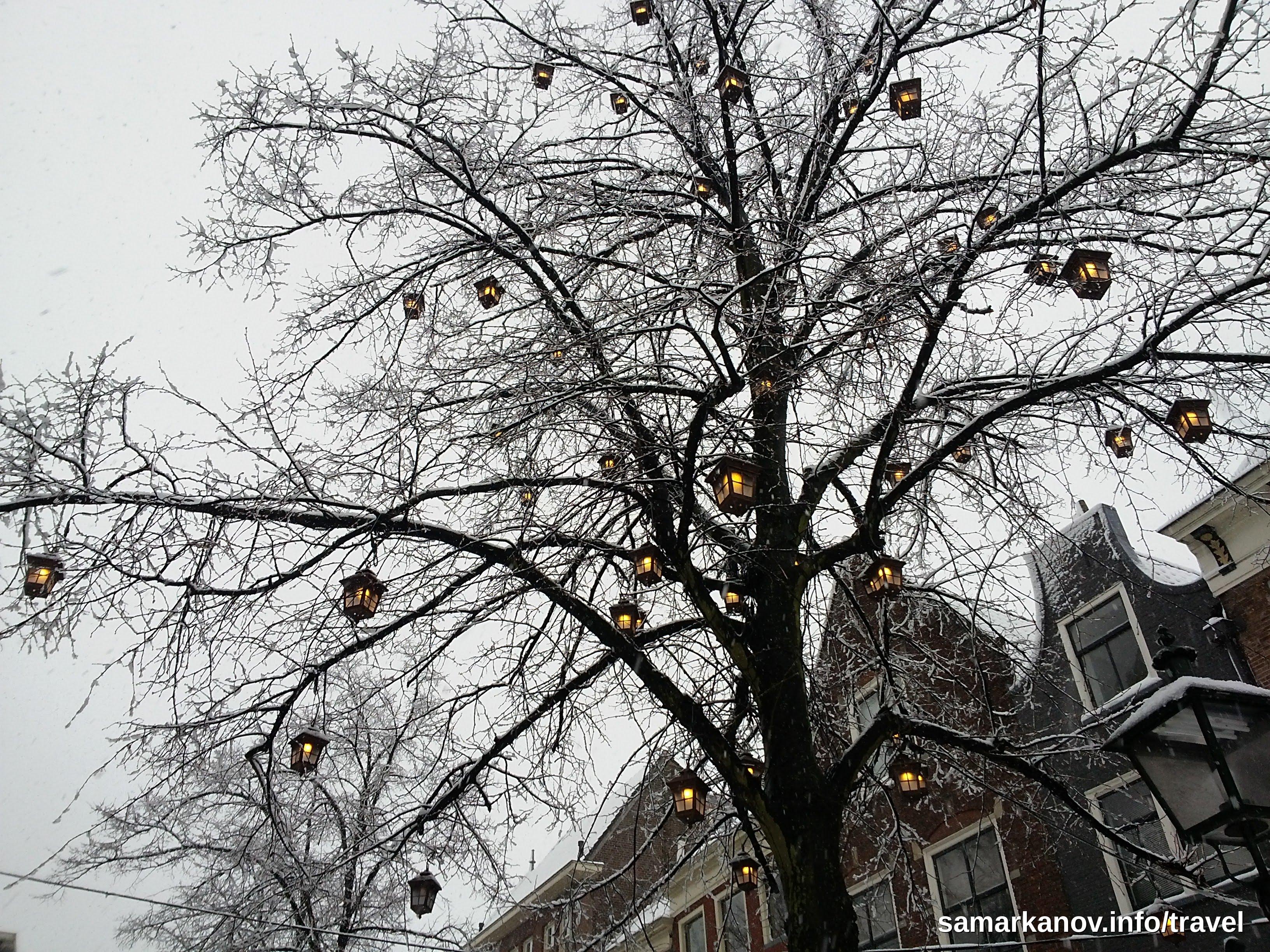 Delft Panoramic Header