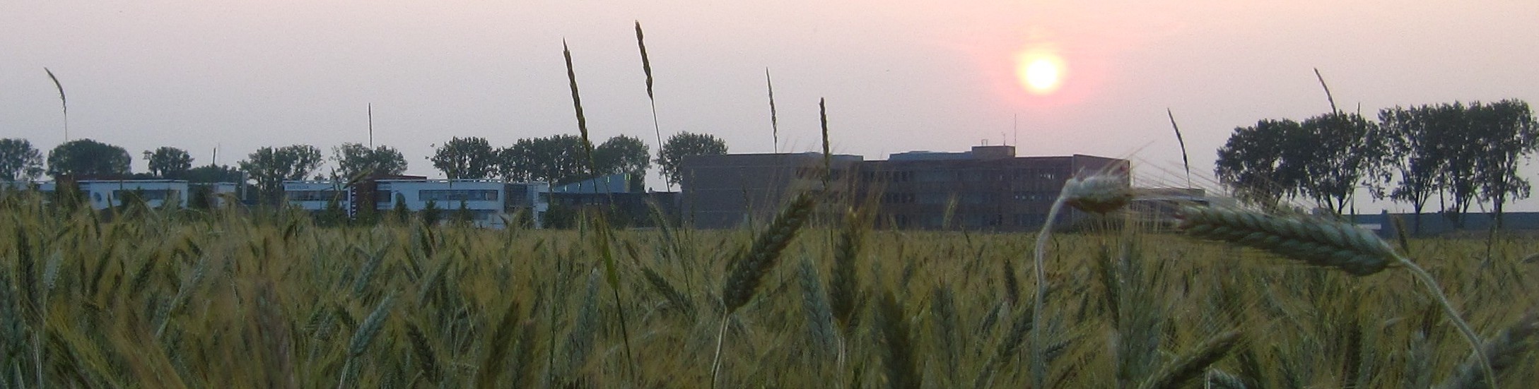 Lille Panoramic Header